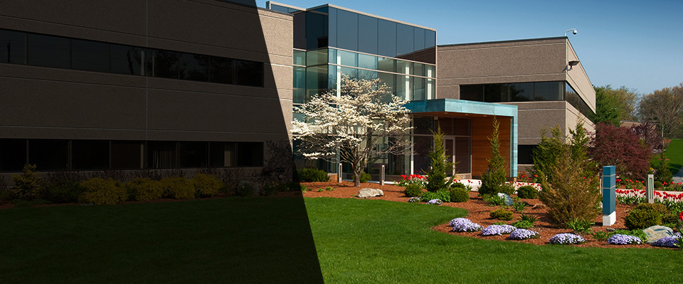 Lakeland Landscapers