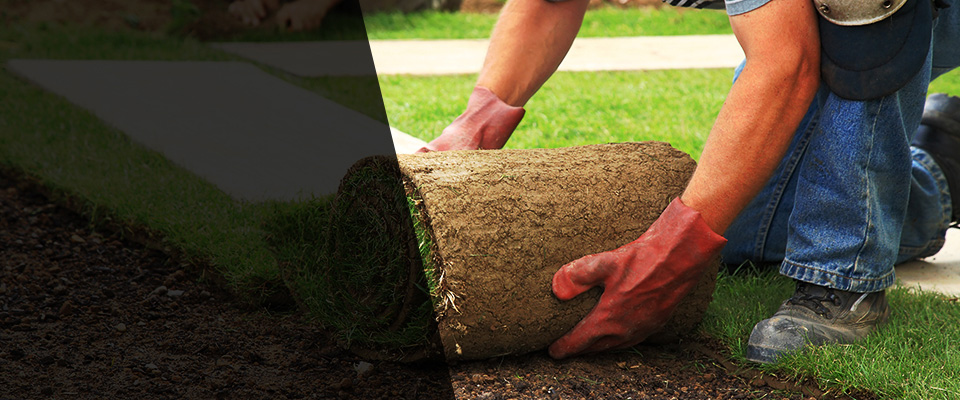 Lakeland Landscapers